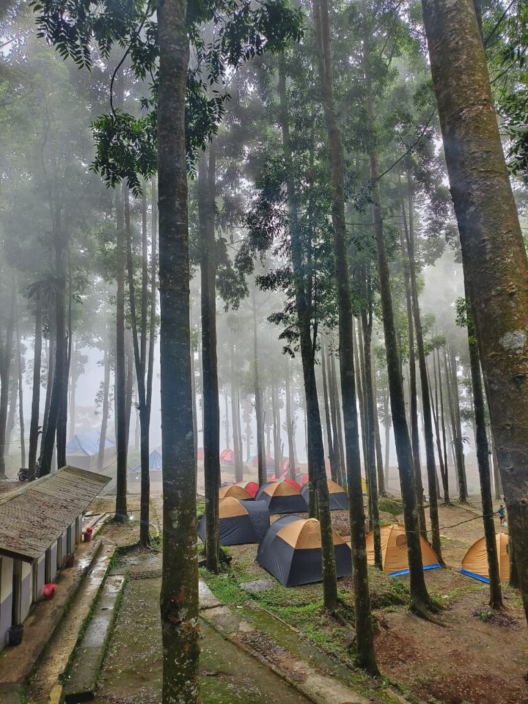 WhatsApp Image 2025-12-03 at 8.19