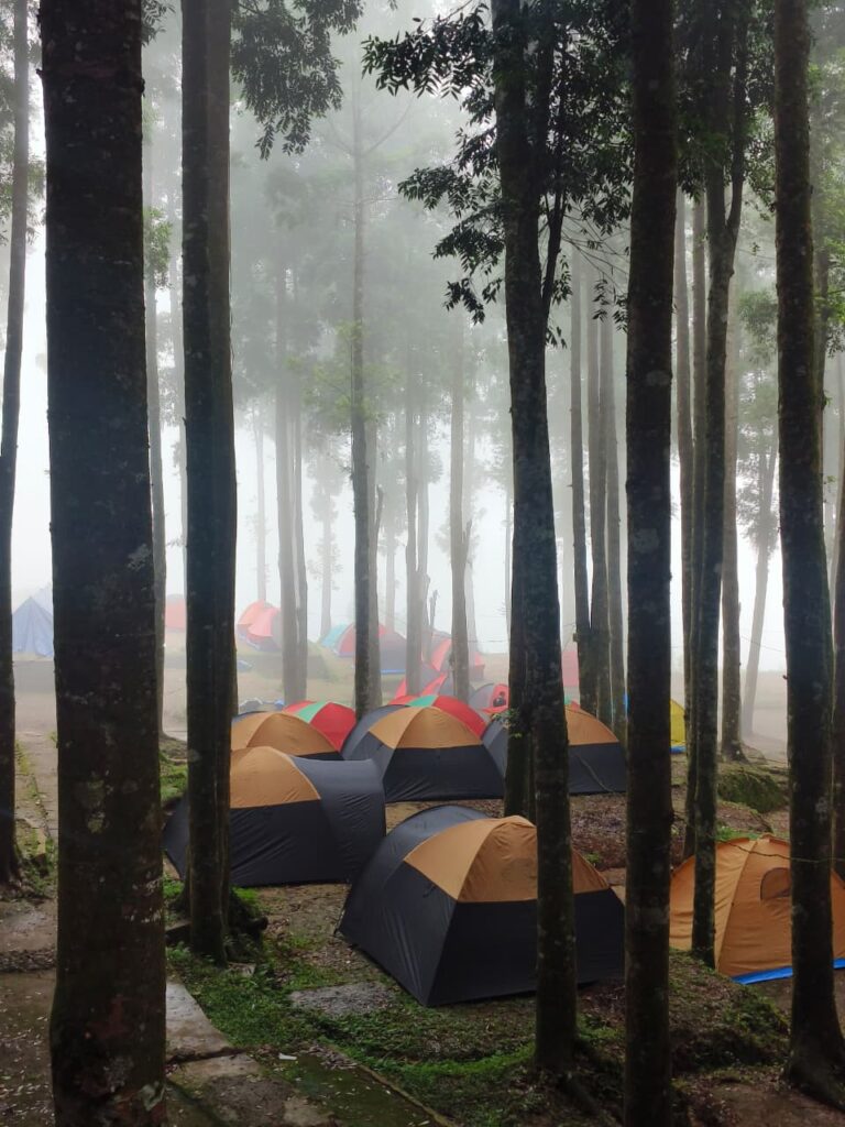 WhatsApp Image 2025-12-03 at 8.19